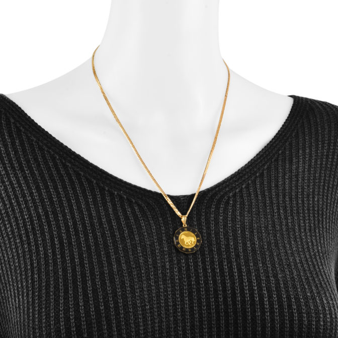 K24 パンプホース コインペンダント