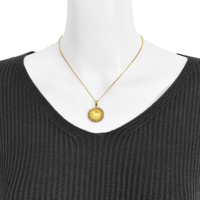 K24 パンプホース コインペンダント