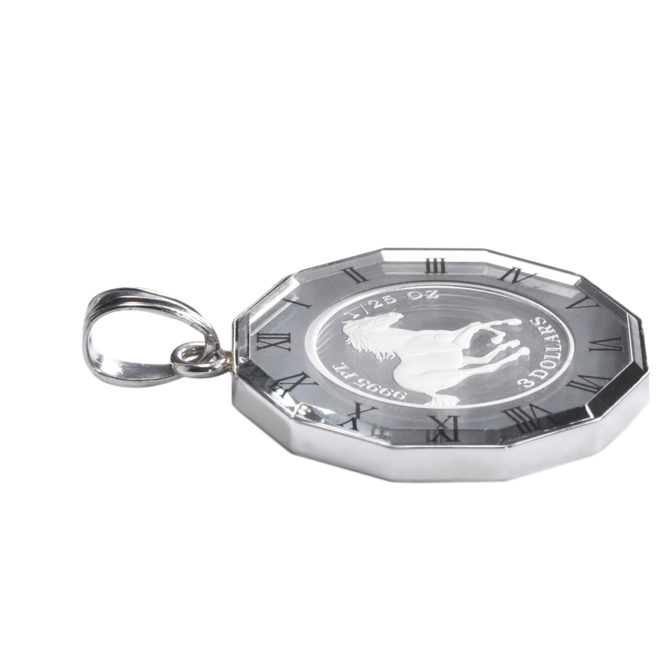 pt999 プラチナ ツバルホース コインペンダント