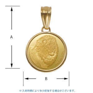 K24 ライオン コインペンダント