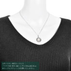 Pt999 純プラチナ コインペンダント ツバルホース 1/25oz デザンフレーム