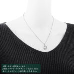 純プラチナ Pt999 コインペンダント ツバル ホース 1/25oz シンプルフレーム