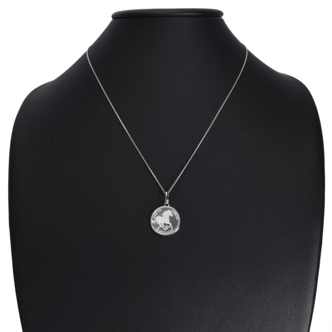 純プラチナ ツバルホース コイン ペンダント 1/10oz シンプルフレーム