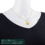 K24 純金 コインペンダント キングビースト 獅子 1/20oz シンプルフレーム