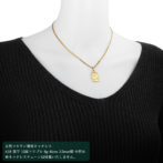 K24 純金 コインペンダント タロットカード XXI 世界 シンプルフレーム バチカンL