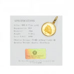 K24 純金 コイン ペンダント ロイヤルミント キャット エキゾチックショートヘア 1/20oz シンプルフレーム