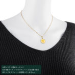 K24 純金 コインペンダント グリフォン 1/20oz シンプルフレーム