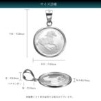 純プラチナ Pt999 コインペンダント ツバル ホース 1/25oz pt900 シンプルフレーム